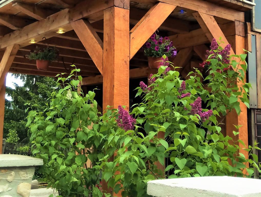 Apartman Tosic Žabljak Dış mekan fotoğraf