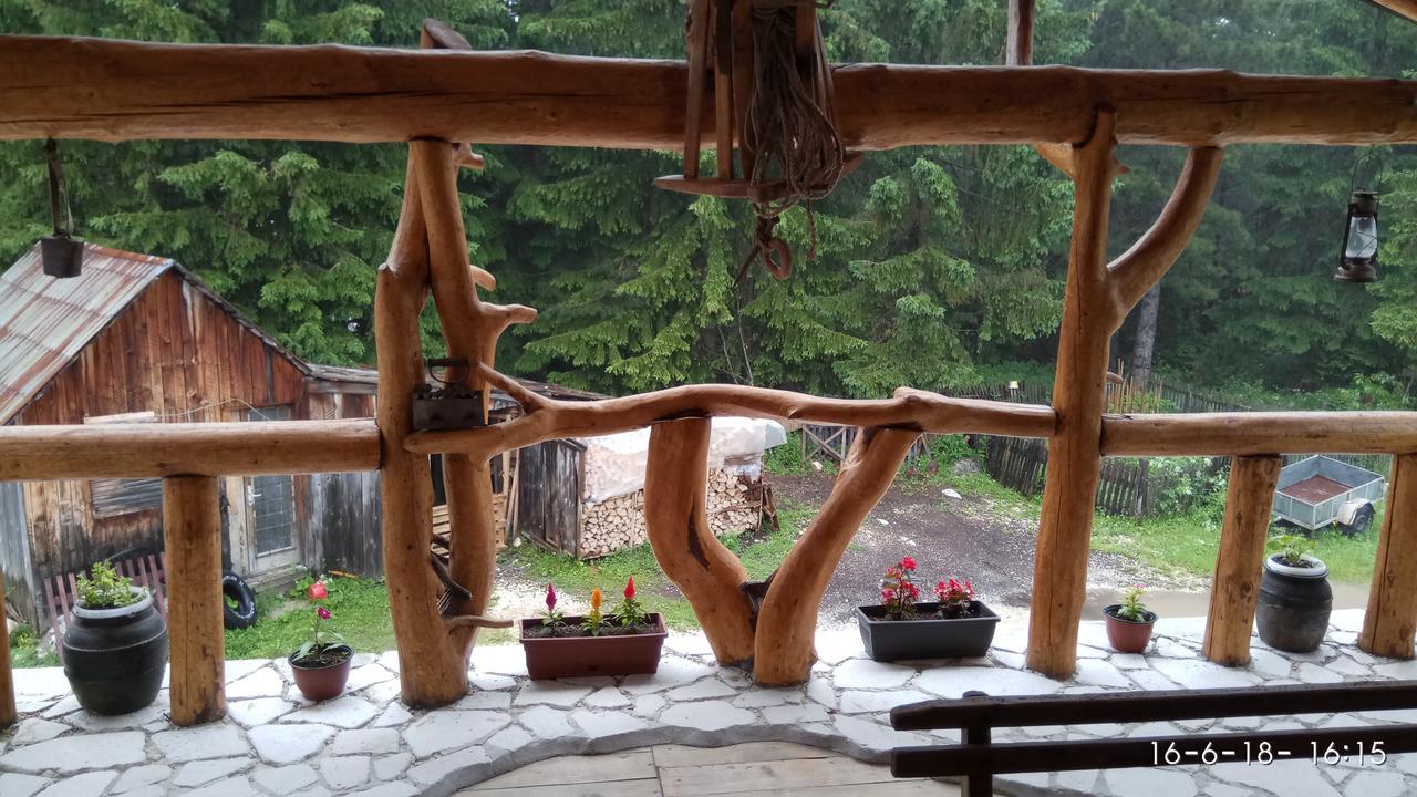 Apartman Tosic Žabljak Dış mekan fotoğraf